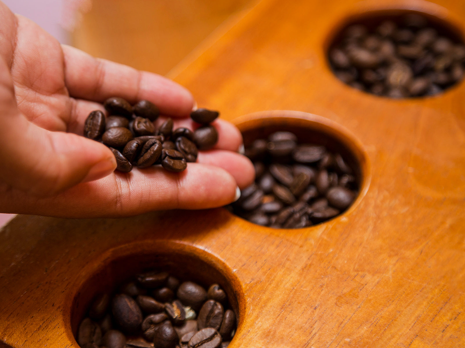 4 Different Types of Coffee Beans (plus 16 varietals)