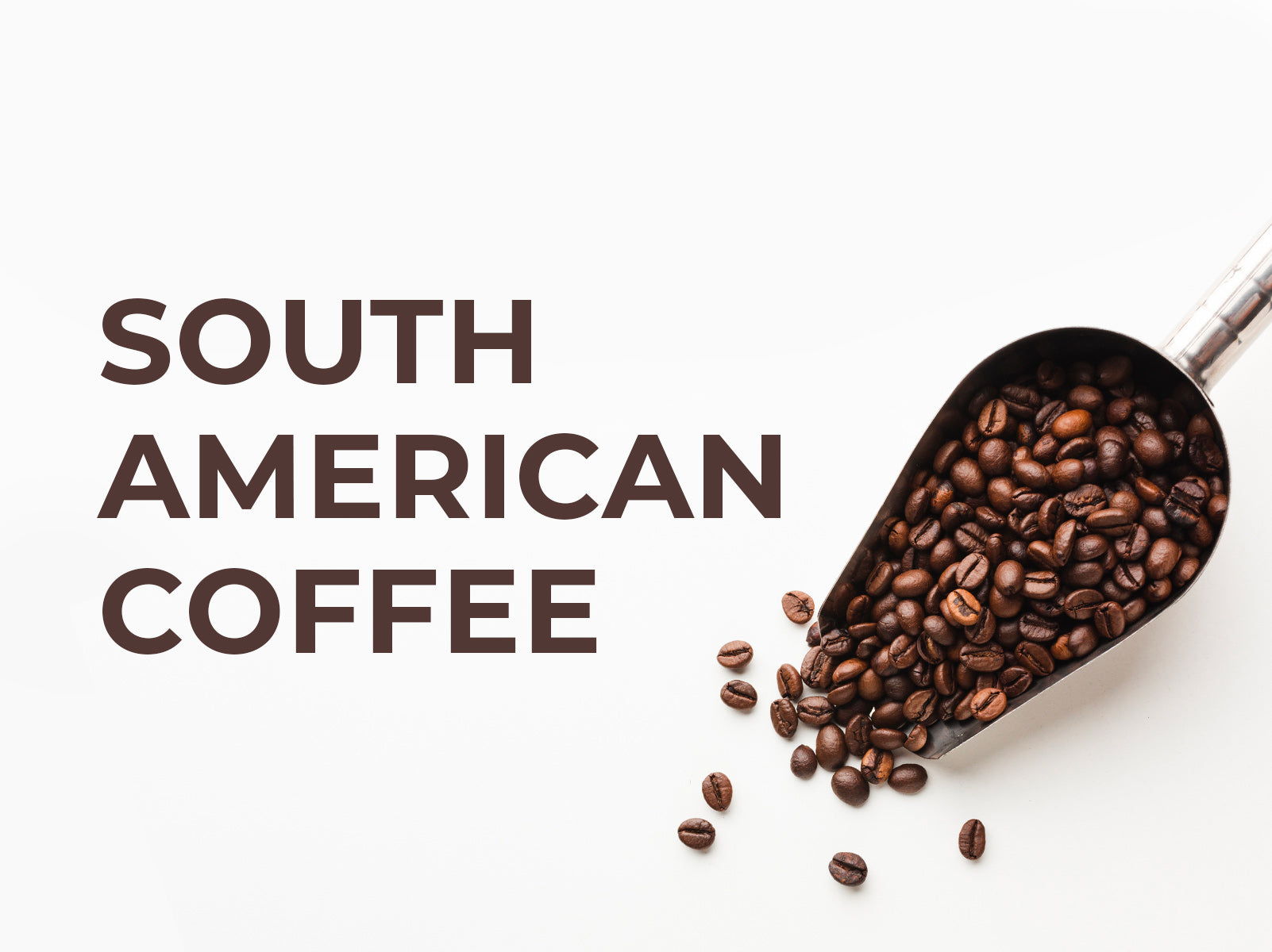 American coffee deals beans