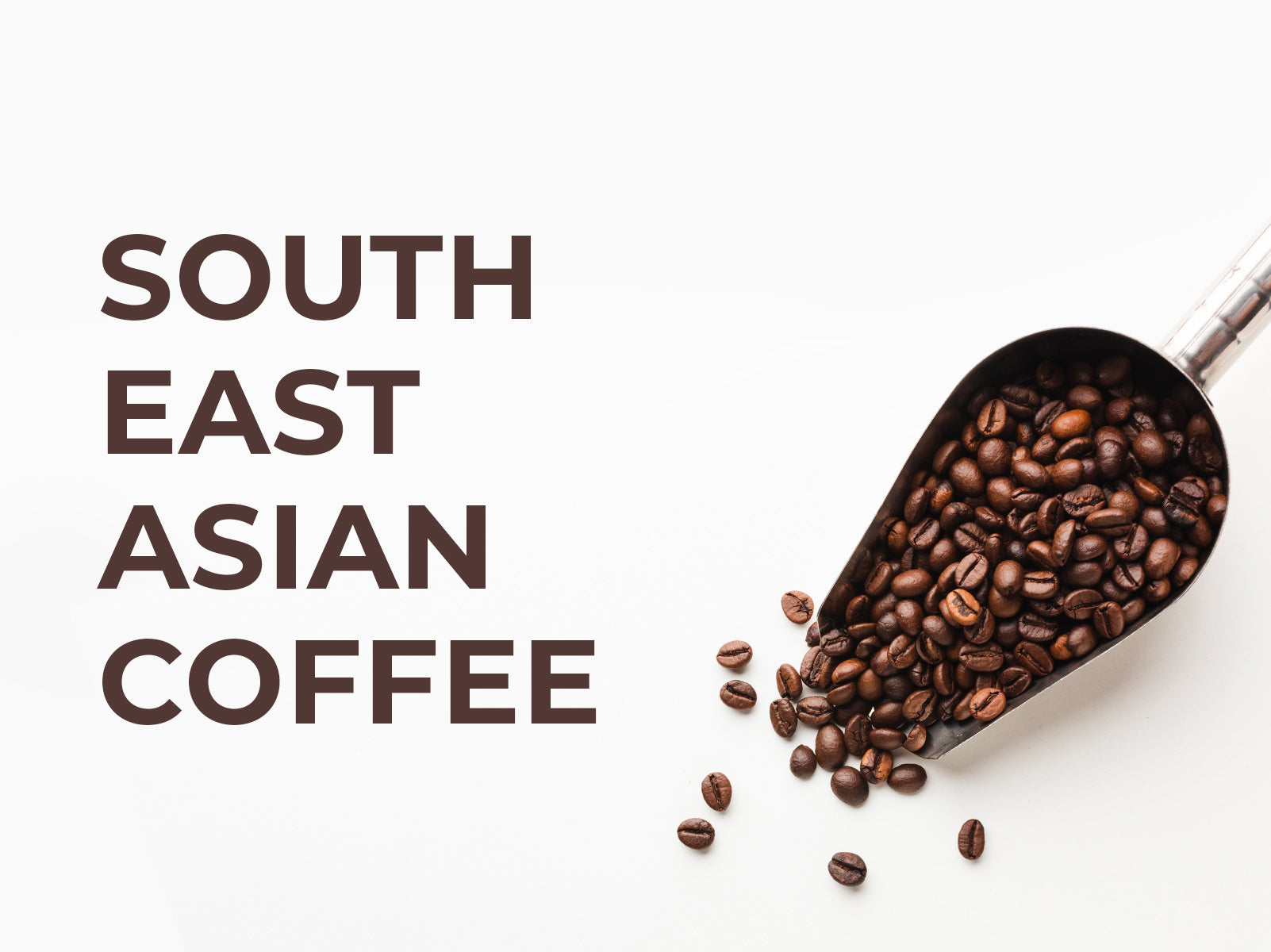 Single Origin Coffees | South East Asian Coffee