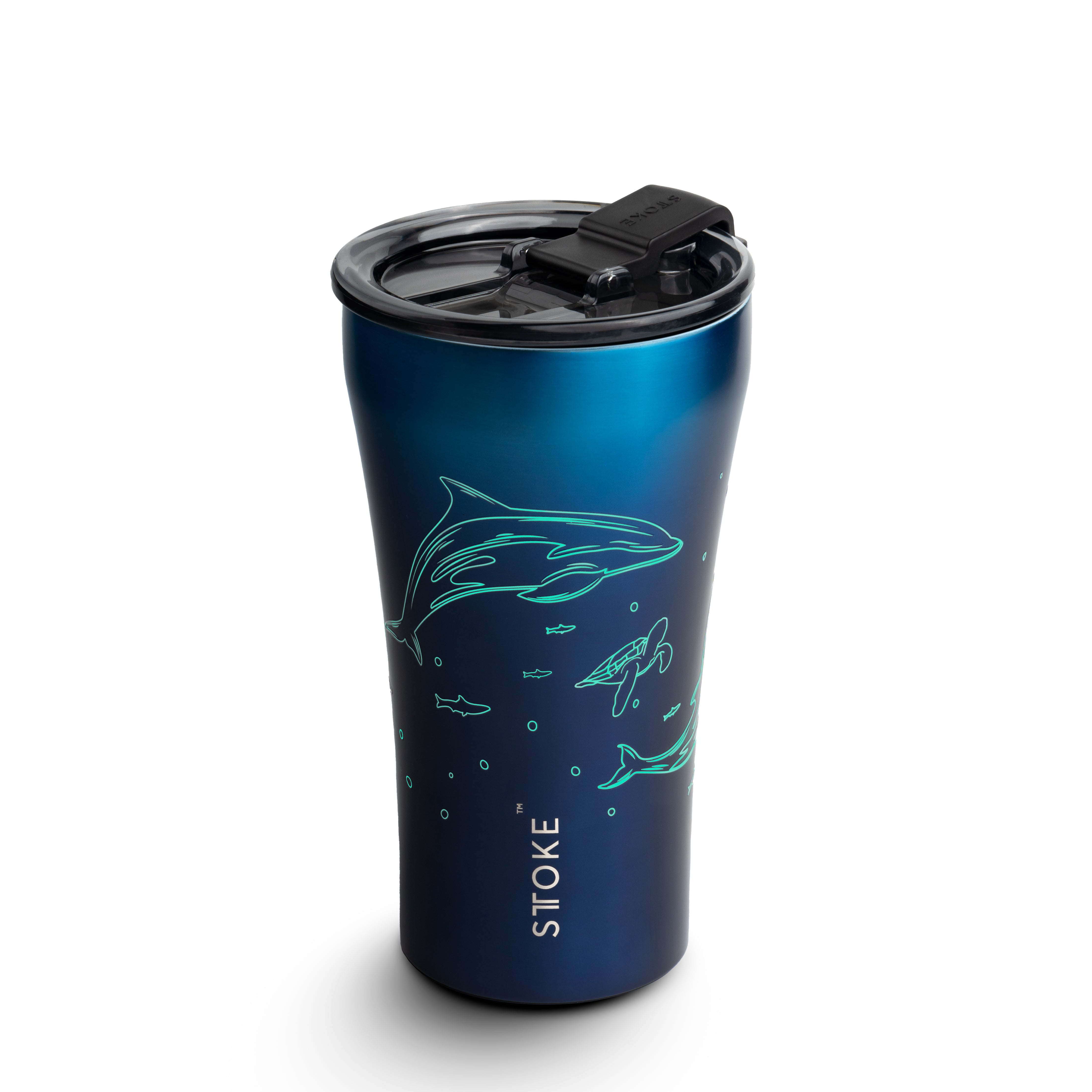Ocean Series - Dolphin & Manta Ray