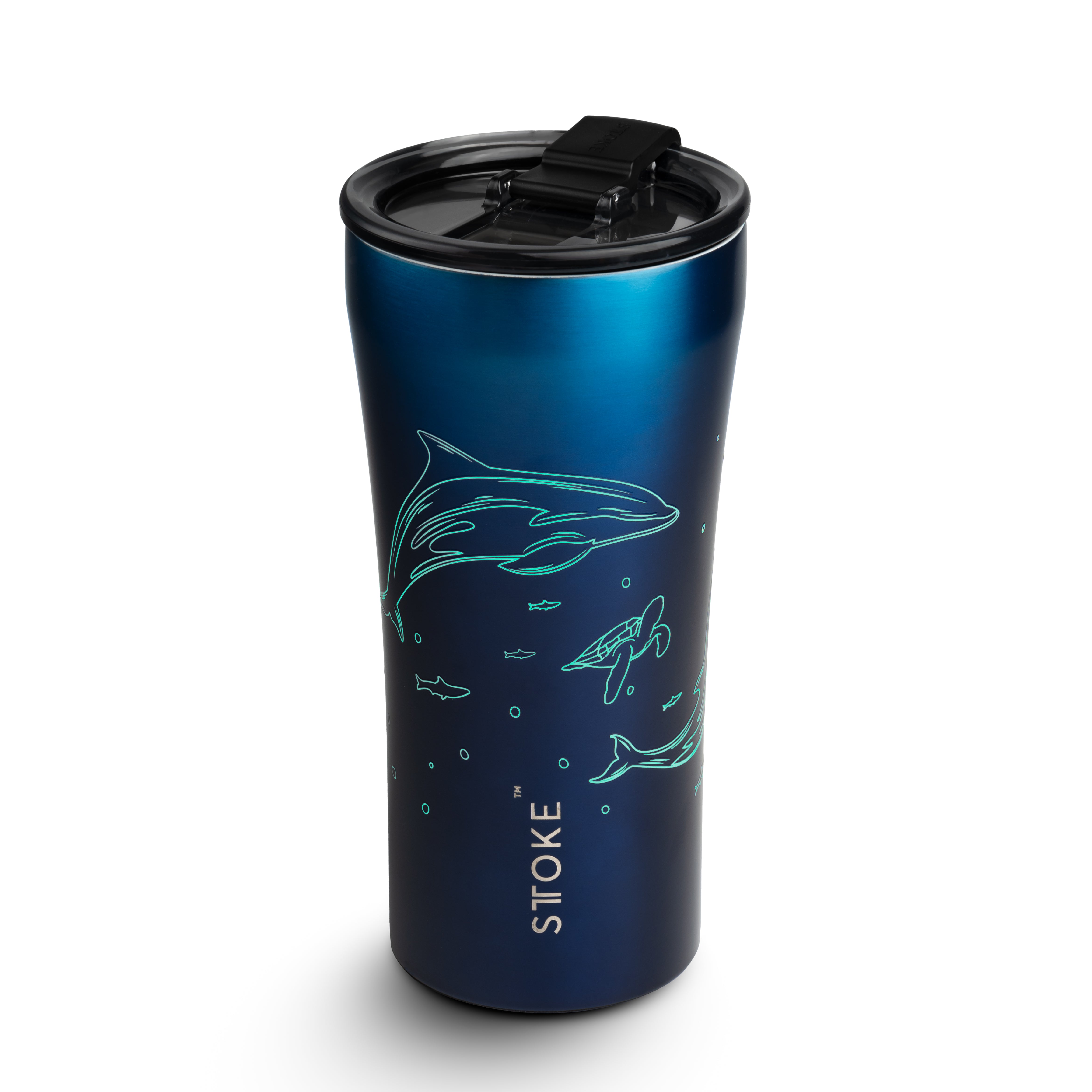 Ocean Series - Dolphin & Manta Ray